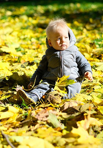 户外穿着保暖背心夹克的学步儿童肖像。秋天公园里的一名带着黄色枫叶的男婴