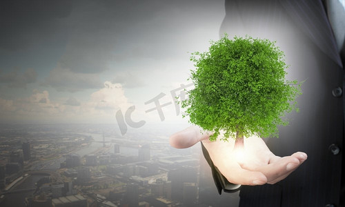 排气摄影照片_商人手掌中握着绿树的特写。由于空气污染