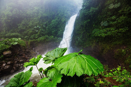 哥斯达黎加雨林丛林中雄伟的瀑布。热带徒步旅行。