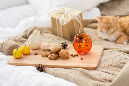 卫生和圣诞概念-燕麦饼干，蜡烛，礼物和躺在床上的红色猫猫。床上有燕麦饼干、圣诞礼物和蜡烛