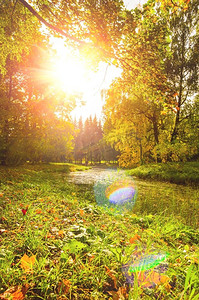 秋叶黄色摄影照片_五彩缤纷的秋季公园。日落时分，公园里树上五颜六色的秋叶