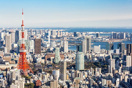 日本罗汉松摄影照片_日本东京天际线的东京塔