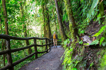 背包的行人摄影照片_徒步旅行在绿色的热带丛林，哥斯达黎加，中美洲