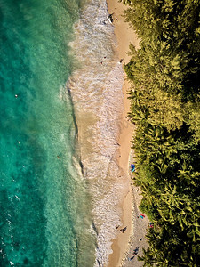 铲车俯视图摄影照片_美丽的海滩棕榈树空中俯视图无人机拍摄塞舌尔，马埃岛
