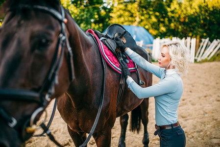 女骑手在准备马鞍子，骑马。马术运动，年轻女子和美丽的种马，农场动物