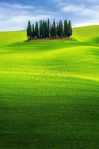 自然草坪摄影照片_在蓝天下的绿色山丘景观与柏树在托斯卡纳的乡村在意大利。春天和夏天的自然背景。
