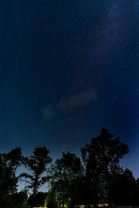 乌克兰基辅市附近树木上的星夜。银河系出现在天空中。汽车从路上驶过