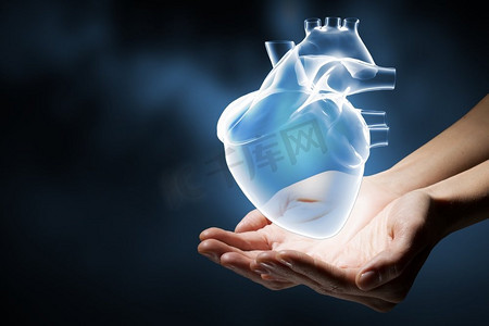 心脏护理。人类双手握住人类心脏的特写