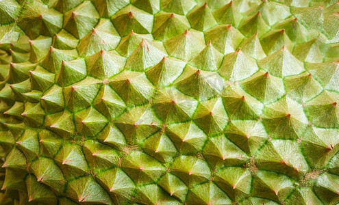 榴莲皮/热带水果榴莲纹理背景特写榴莲菠萝