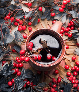 莓茶摄影照片_一杯草药秋茶配红莓，俯瞰