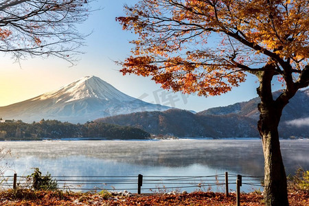 早晨日出山。秋天的富士在日本的川口湖或川口湖