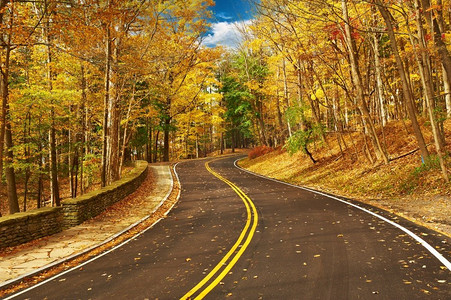 秋天的场景与道路在森林在莱奇沃思州立公园