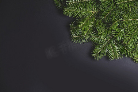 圣诞节冷杉树分支角落边界名声在黑色纸时髦的背景与文本的复制空间。圣诞冷杉树在黑色背景