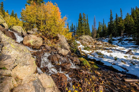 美国科罗拉多州落基山国家公园，季节变换，初雪和秋日的白杨树。