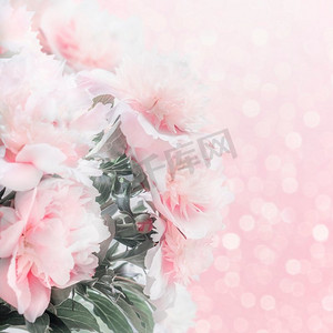 美丽的淡粉色牡丹，花朵边缘有波克。母亲节、婚礼或喜庆活动的卡片布局或贺卡