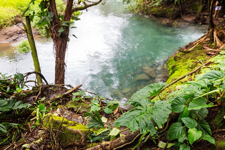 丛林中的小溪。美丽的溪水在雨林中向下流动。哥斯达黎加，中美洲