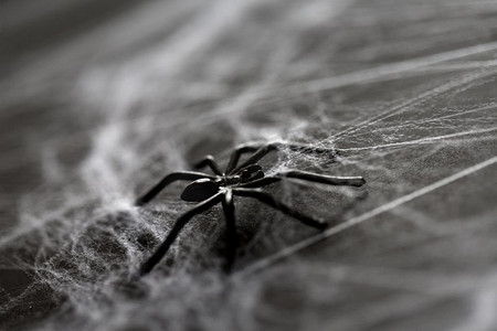 万圣节幽灵摄影照片_万圣节，装饰和恐怖概念-在人造蛛网的黑色玩具蜘蛛。万圣节装饰的黑色玩具蜘蛛蜘蛛网