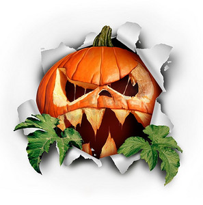 南瓜万圣节惊喜撕纸,树叶从撕裂的孔中迸发出来,作为一个可怕的危险