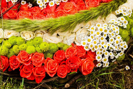 喜庆背景花纹摄影照片_红玫瑰和洋甘菊作为婚礼设计的图案。花纹俯视图