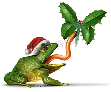 一只戴着圣诞老人帽子的圣诞青蛙抓住了一片蝴蝶形状的冬青叶，白色背景上有3D插图元素。