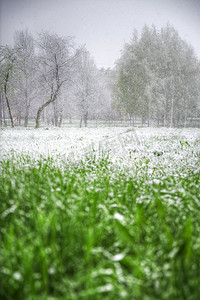 夏天会下雪。反常的天气。气候的变化。夏天会下雪