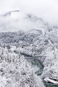 冬季景观积雪覆盖树木，火车过河过桥