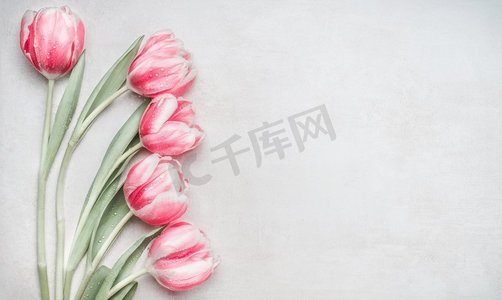 郁金香花束摄影照片_可爱的粉色郁金香花束，花边在明亮的背景下，顶视。春节假期的布局。母亲节贺卡