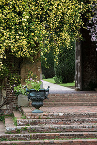 与悬挂的花和葡萄酒步骤和植物瓮的英国乡村风景图像