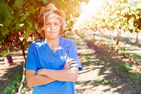 葡萄园里的男孩。小男孩在葡萄园里摘葡萄