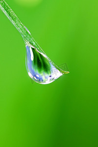 新鲜的草叶片与大水滴宏观特写新鲜自然概念。露水水滴在草宏观