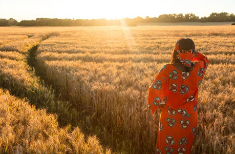 日落或日出时，身穿传统服装的非洲妇女站在大麦或麦田里，手扶着眼睛，看着太阳
