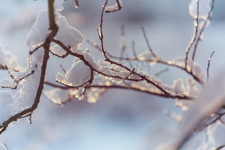冷杉摄影照片_冬天风景如画的白雪覆盖的森林