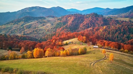  山，秋天，全景，森林