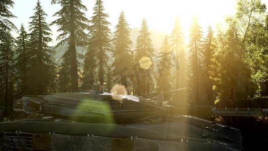 日落时分森林里生锈的旧坦克旧生锈坦克在森林