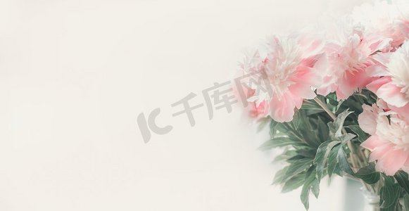 粉彩粉红色的白色牡丹在轻背景。柔焦。花卉边框模板横幅