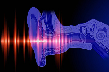 听到声波。关于人类听觉的概念意象