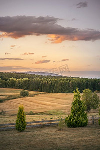 森林夕阳摄影照片_夕阳下的乡村景观，田野干枯，松林翠绿