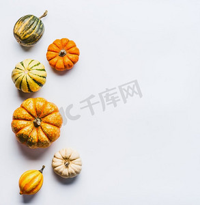 各种色彩鲜艳的小南瓜在浅色的背景上。秋天与南瓜组成，俯视，边框