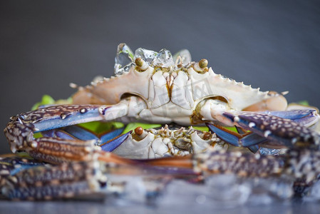 在冰的生蟹与在黑暗背景/新鲜蟹熟食在餐馆或海鲜市场，蓝色梭子蟹