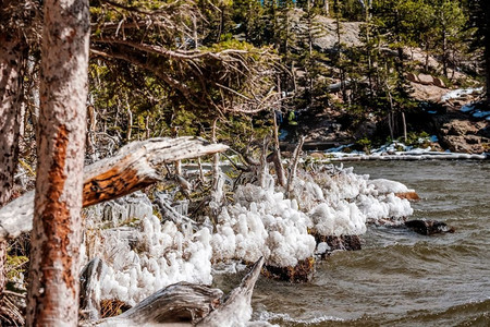 秋天的湖水。树木和草地上的冰柱是由风和水造成的。美国科罗拉多州落基山国家公园。