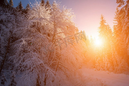 美丽的冬天风景在美丽的冬天的下雪的乡间道路在日落或日出期间在森林与新鲜雪
