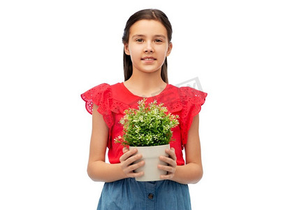 环境、自然和人的概念--快乐的微笑女孩手持花盆盖过白色背景。开心的笑着的女孩捧着花盆