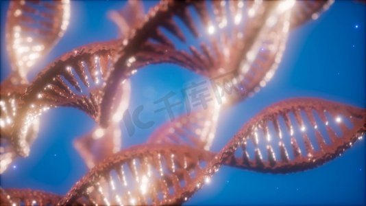 DNA双螺旋动画的结构，DNA分子和生物胶片的概念。DNA双螺旋动画的结构