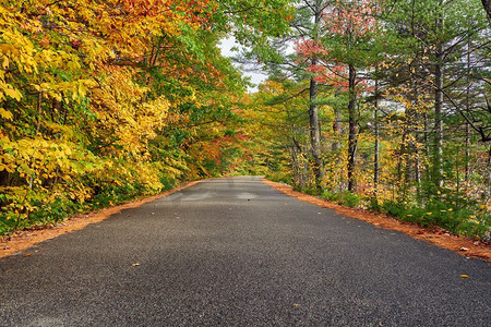 秋空摄影照片_秋天的风景与道路在白山国家森林，新罕布什尔州，美国.秋天在新英格兰。 