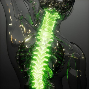 脊椎背痛。人体脊椎骨发光的科学解剖扫描背骨背痛