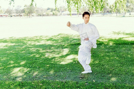陈式太极拳摄影照片_练太极拳的帅哥。夏天在公园练太极拳的帅哥