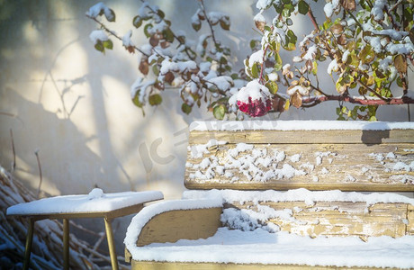 积雪摄影照片_冬日花园中积雪飞扬的长凳