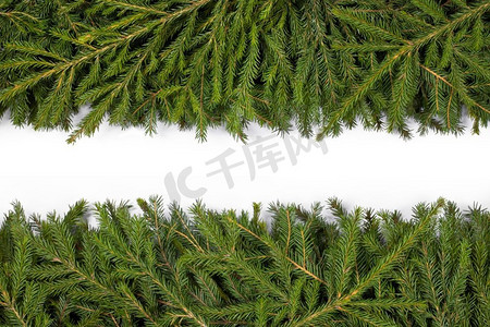 天然冷杉圣诞树边框孤立在白色，复制文本空间。冷杉树枝框架在白色
