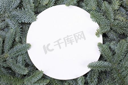 圣诞节圆边框摄影照片_天然冷杉圣诞树圆形边框，白色隔绝，文字复制空间。白色的冷杉树枝框