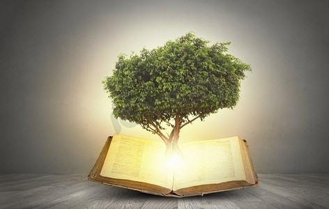 概念图像与绿树从书中生长。阅读与自我教育